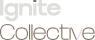 GoHighlevel Nonprofits Organization Ignitecollective